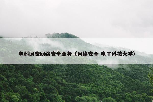 电科网安网络安全业务（网络安全 电子科技大学）