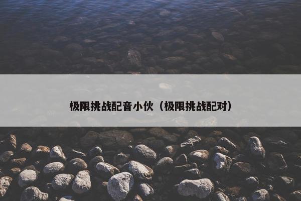 极限挑战配音小伙（极限挑战配对）
