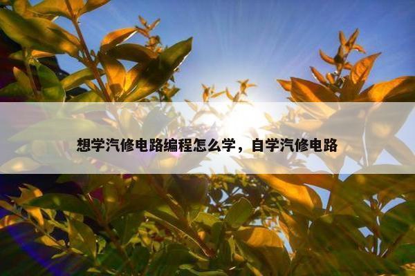 想学汽修电路编程怎么学，自学汽修电路