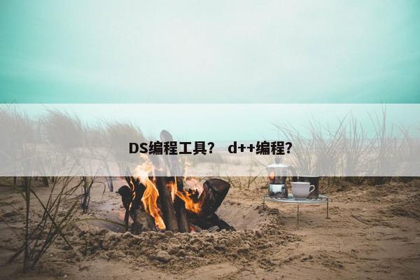 DS编程工具？ d++编程？