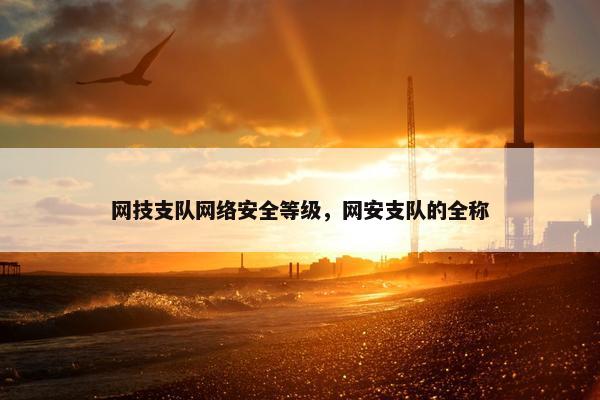网技支队网络安全等级，网安支队的全称