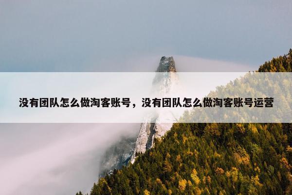 没有团队怎么做淘客账号，没有团队怎么做淘客账号运营