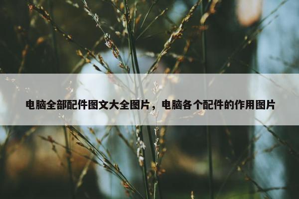 电脑全部配件图文大全图片，电脑各个配件的作用图片