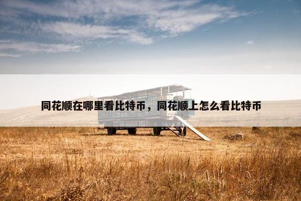 同花顺在哪里看比特币，同花顺上怎么看比特币