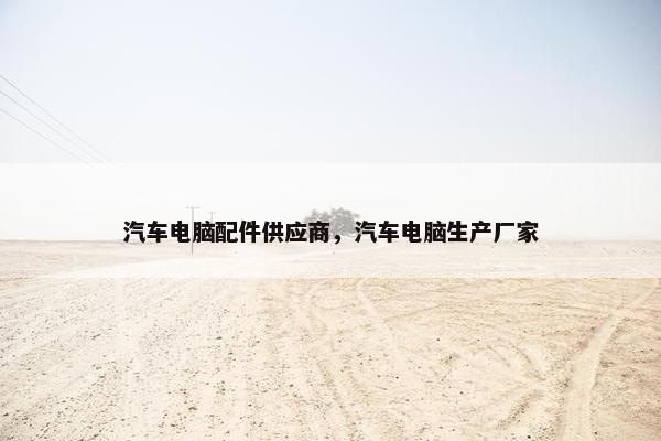 汽车电脑配件供应商，汽车电脑生产厂家