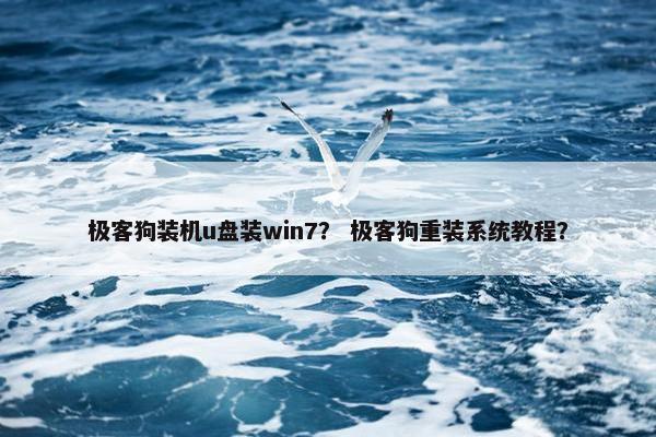 极客狗装机u盘装win7？ 极客狗重装系统教程？