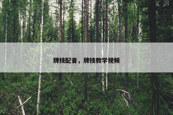 牌技配音，牌技教学视频