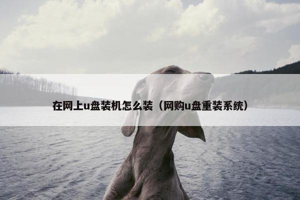 在网上u盘装机怎么装（网购u盘重装系统）