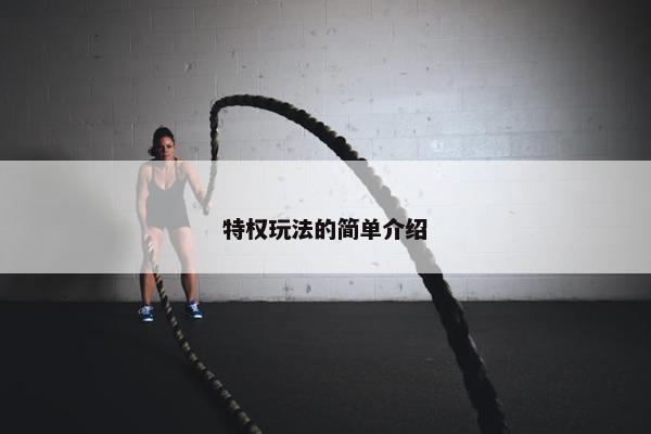 特权玩法的简单介绍