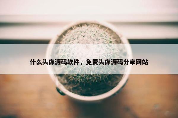 什么头像源码软件，免费头像源码分享网站