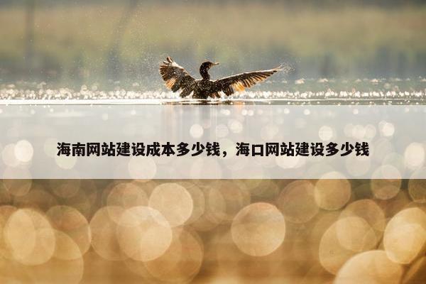 海南网站建设成本多少钱，海口网站建设多少钱