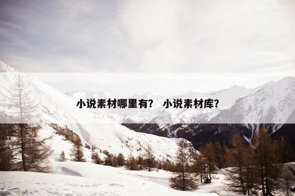 小说素材哪里有？ 小说素材库？