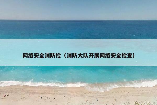 网络安全消防检（消防大队开展网络安全检查）