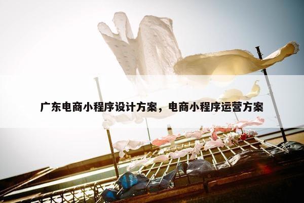 广东电商小程序设计方案，电商小程序运营方案