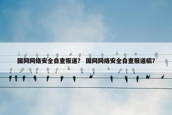 国网网络安全自查报道？ 国网网络安全自查报道稿？