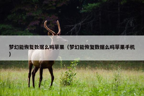 梦幻能恢复数据么吗苹果（梦幻能恢复数据么吗苹果手机）