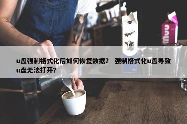 u盘强制格式化后如何恢复数据？ 强制格式化u盘导致u盘无法打开？