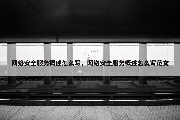 网络安全服务概述怎么写，网络安全服务概述怎么写范文