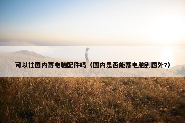 可以往国内寄电脑配件吗（国内是否能寄电脑到国外?）