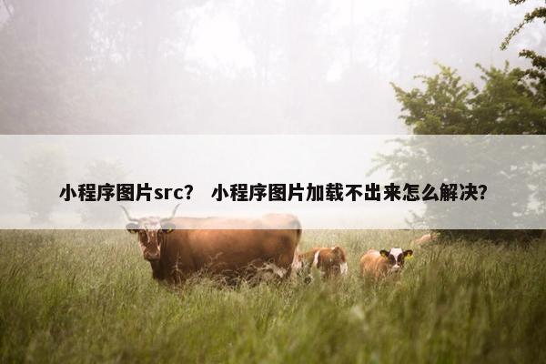 小程序图片src？ 小程序图片加载不出来怎么解决？