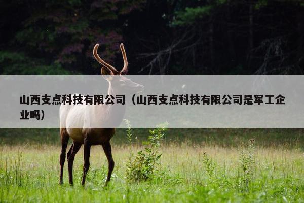 山西支点科技有限公司（山西支点科技有限公司是军工企业吗）
