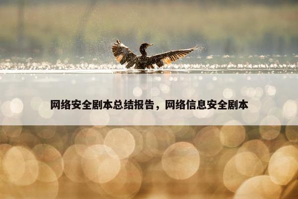 网络安全剧本总结报告，网络信息安全剧本