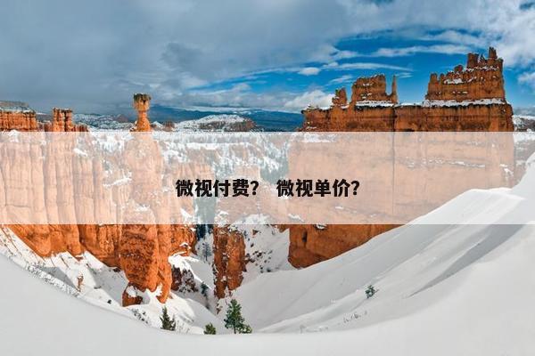 微视付费？ 微视单价？