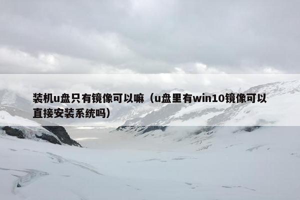 装机u盘只有镜像可以嘛（u盘里有win10镜像可以直接安装系统吗）