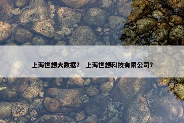 上海世想大数据？ 上海世想科技有限公司？