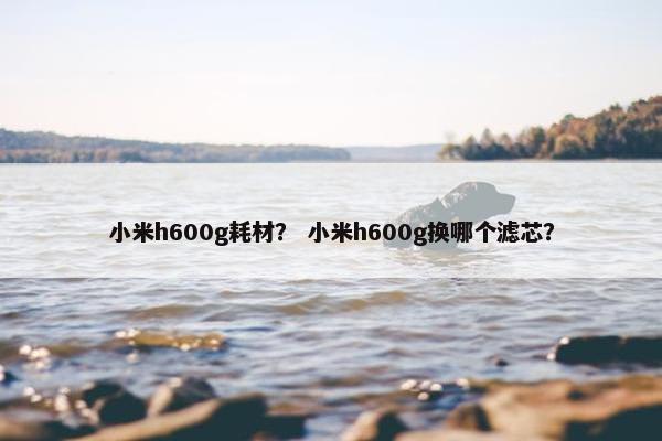 小米h600g耗材？ 小米h600g换哪个滤芯？
