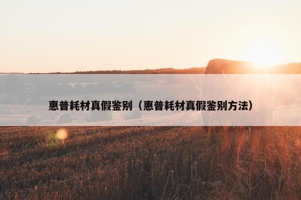 惠普耗材真假鉴别（惠普耗材真假鉴别方法）