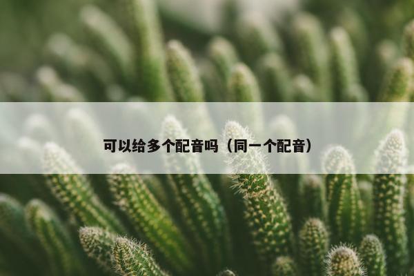 可以给多个配音吗（同一个配音）