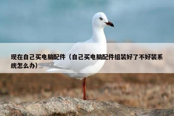 现在自己买电脑配件（自己买电脑配件组装好了不好装系统怎么办）
