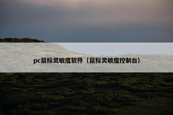 pc鼠标灵敏度软件（鼠标灵敏度控制台）