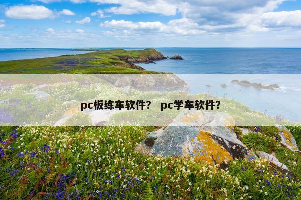 pc板练车软件? pc学车软件? pc板练车软件? pc学车软件?