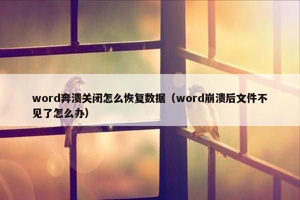 word奔溃关闭怎么恢复数据（word崩溃后文件不见了怎么办）