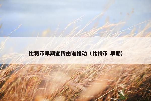 比特币早期宣传由谁推动（比特币 早期）