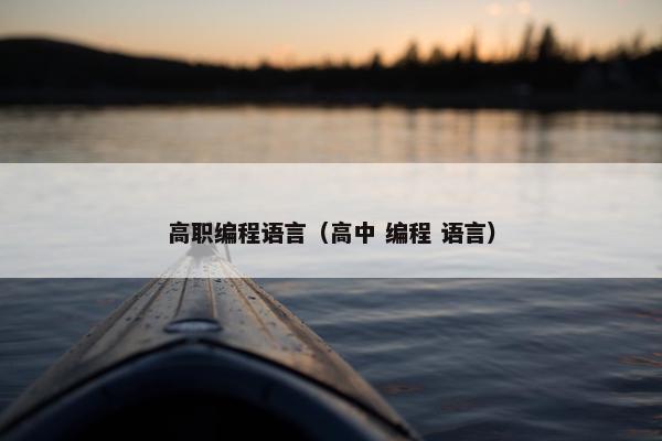 高职编程语言（高中 编程 语言）