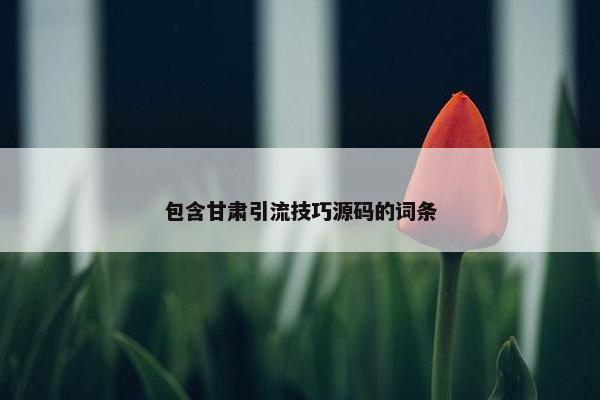 包含甘肃引流技巧源码的词条