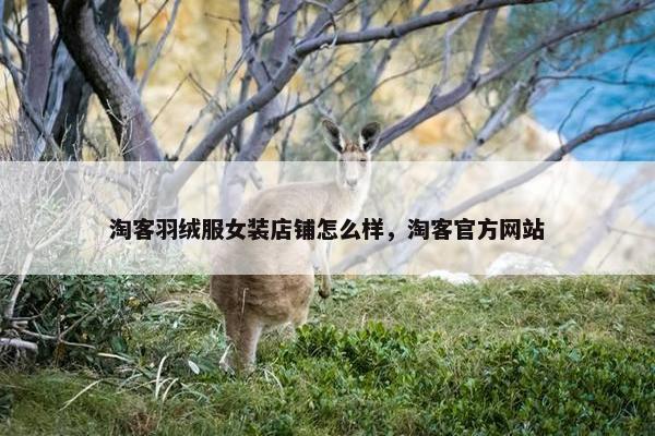 淘客羽绒服女装店铺怎么样，淘客官方网站