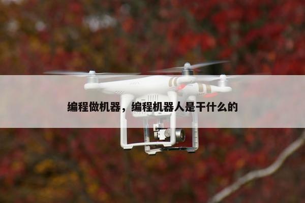 编程做机器，编程机器人是干什么的