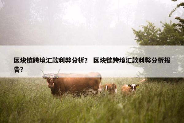 区块链跨境汇款利弊分析？ 区块链跨境汇款利弊分析报告？