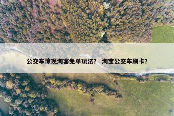 公交车惊现淘客免单玩法？ 淘宝公交车刷卡？