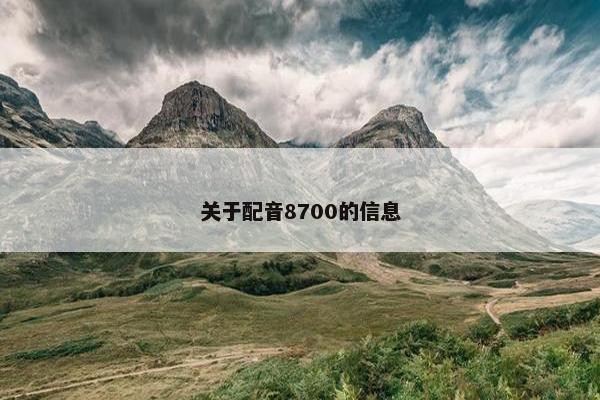 关于配音8700的信息