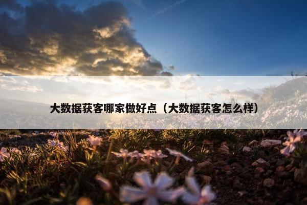 大数据获客哪家做好点（大数据获客怎么样）