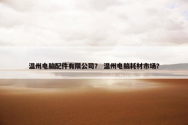 温州电脑配件有限公司？ 温州电脑耗材市场？