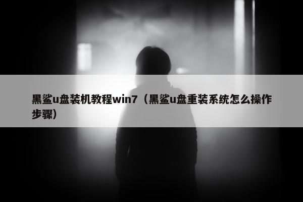 黑鲨u盘装机教程win7（黑鲨u盘重装系统怎么操作步骤）