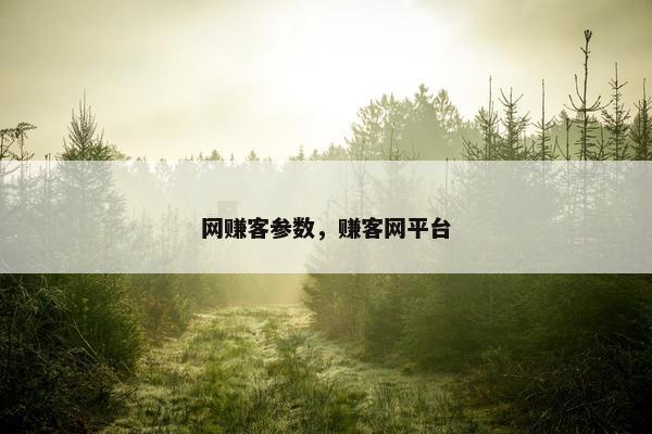 网赚客参数，赚客网平台