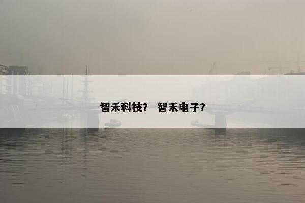 智禾科技？ 智禾电子？