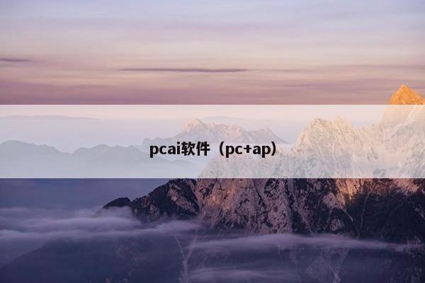 pcai软件（pc+ap）